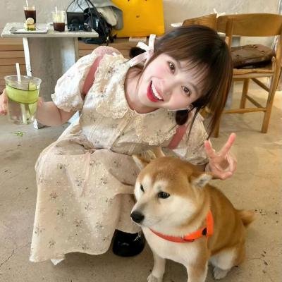 小犬与女孩